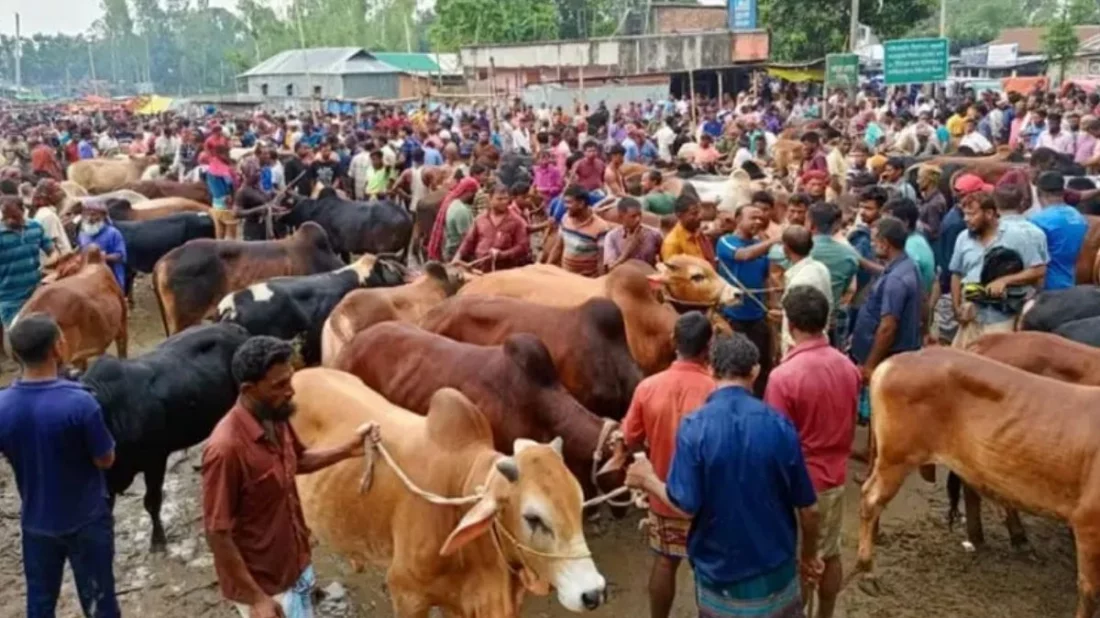 ঈদুল আজহায় টানা ৭ দিনের ছুটি ঘোষণা, ঘরমুখো মানুষের স্বস্তি